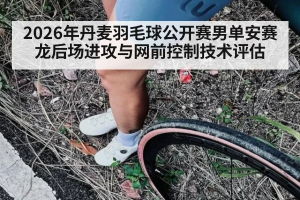 2026年丹麦羽毛球公开赛男单安赛龙后场进攻与网前控制技术评估